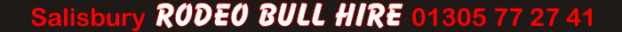 Salisbury Rodeo Bull Hire